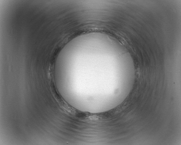 X0000076220423200609280926