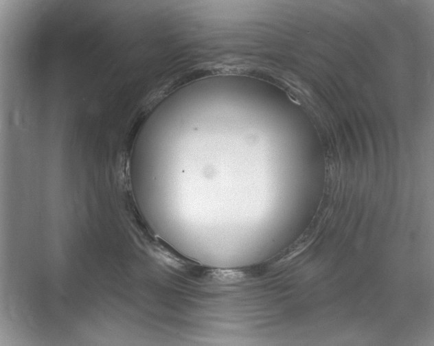 X0000076220429200609280926