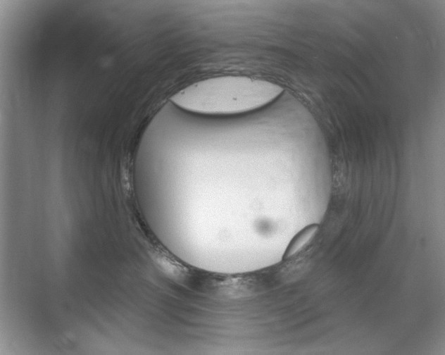X0000076220430200609280926