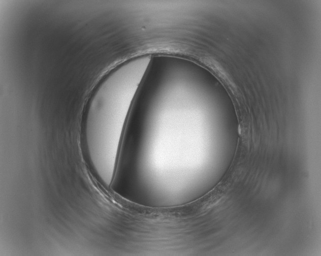 X0000076220434200609280925