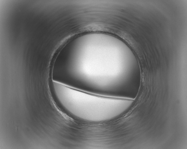 X0000076220438200609280925