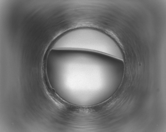 X0000076220439200609280925