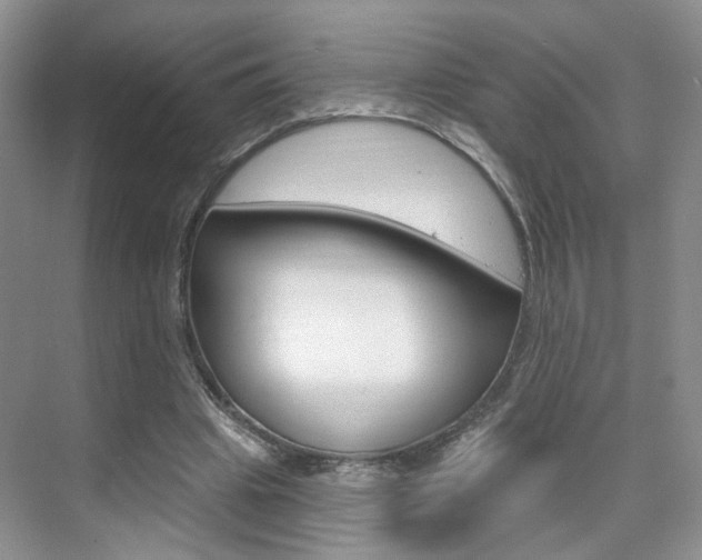 X0000076220441200609280925