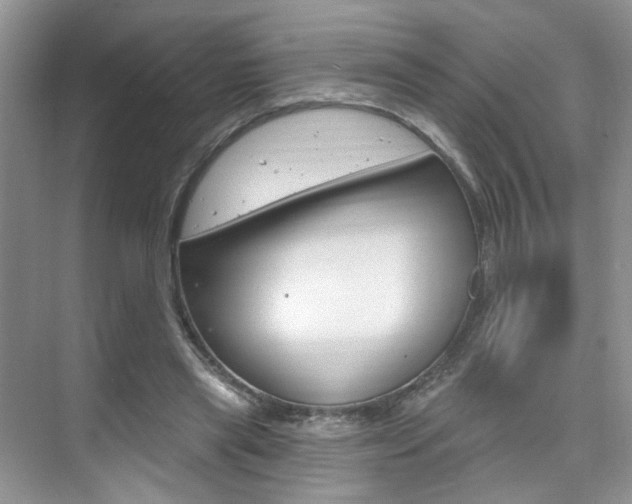 X0000076220445200609280926
