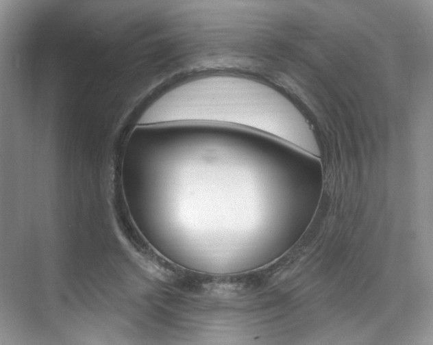 X0000076220448200609280926