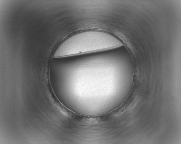 X0000076220449200609280926