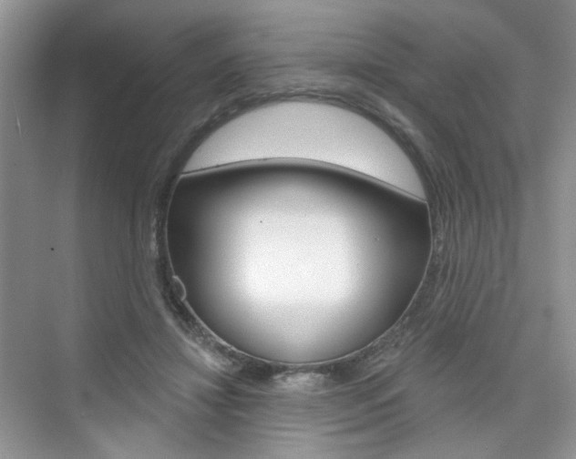 X0000076220452200609280926
