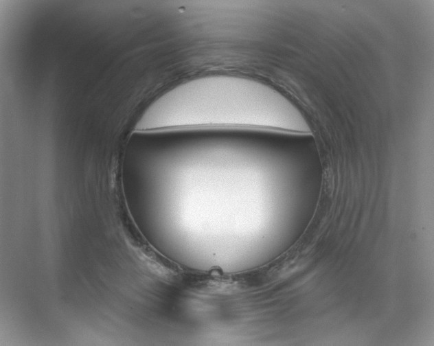 X0000076220458200609280926