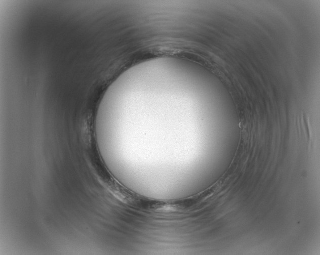 X0000076220460200609280926