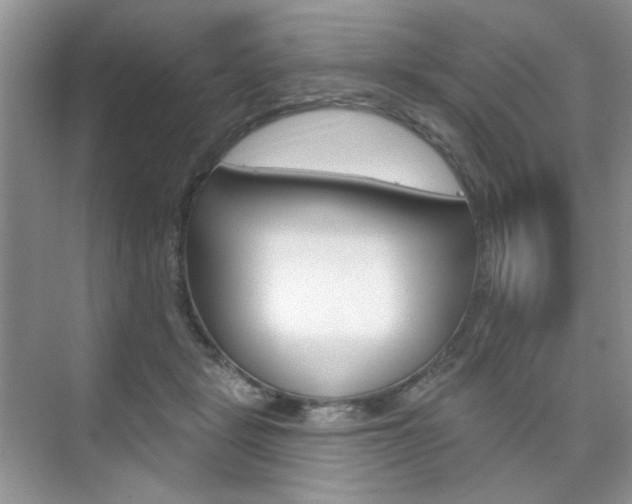 X0000076220461200609280926