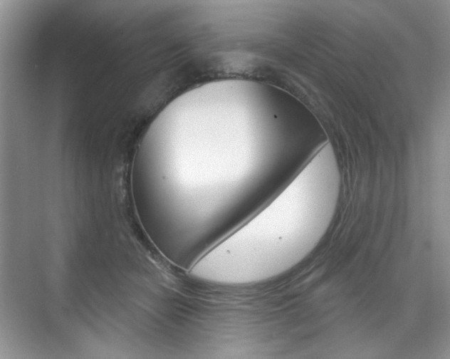 X0000076220462200609280926