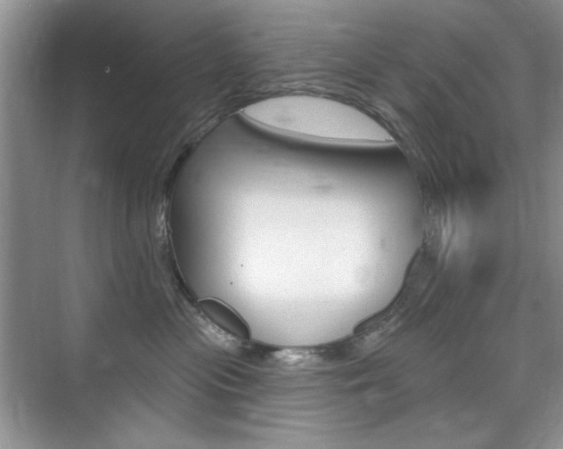 X0000076220477200609280926