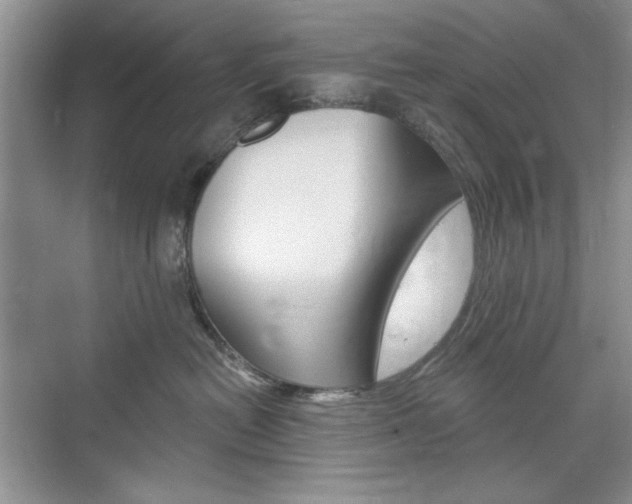 X0000076220478200609280926