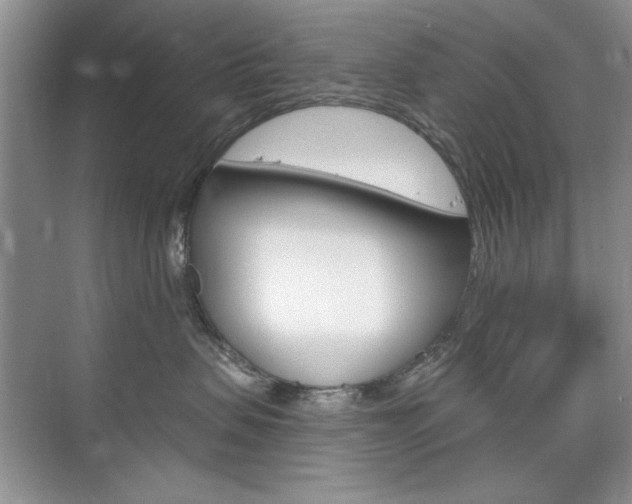 X0000076220479200609280926