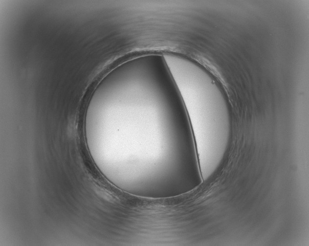 X0000076220483200609280925