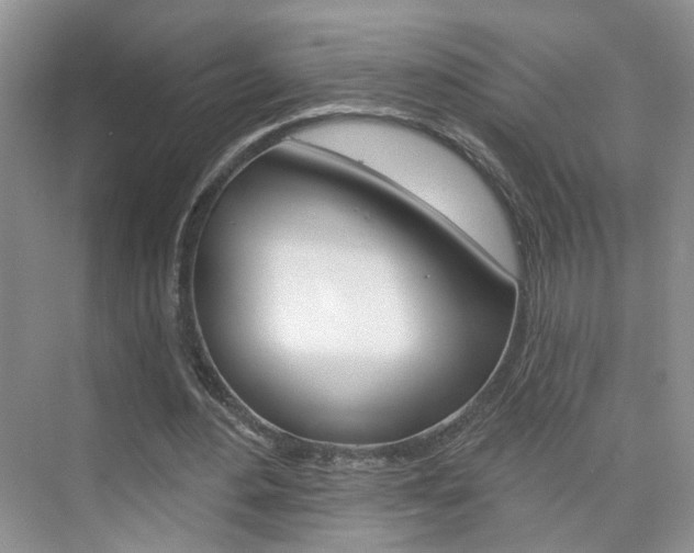 X0000076220484200609280925