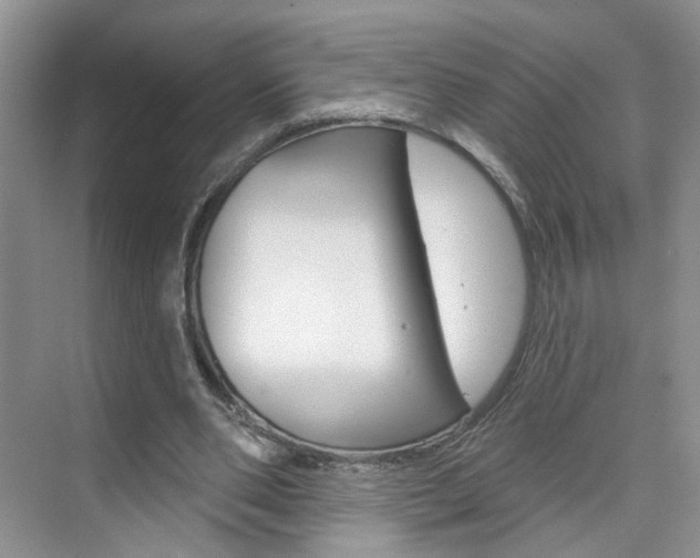 X0000076220486200609280925