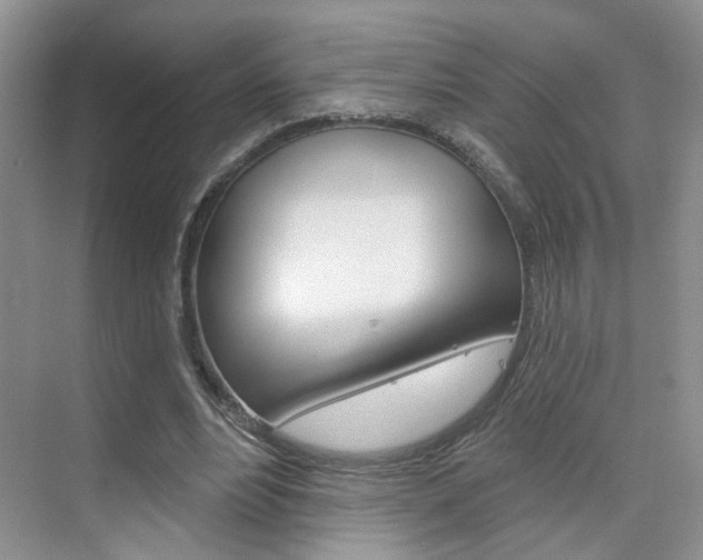 X0000076220488200609280925