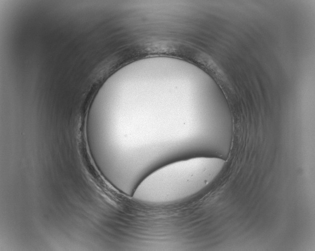 X0000076220490200609280925
