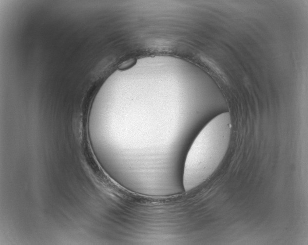 X0000076220494200609280925