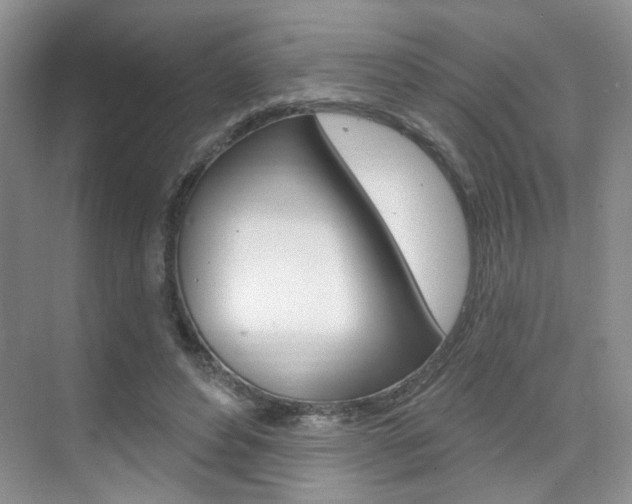 X0000076220496200609280925