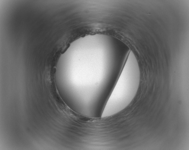 X0000076220512200609280925