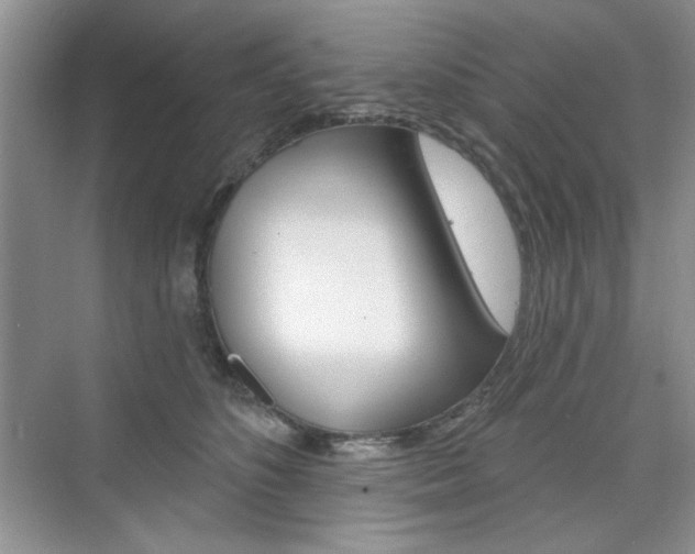X0000076220516200609280925