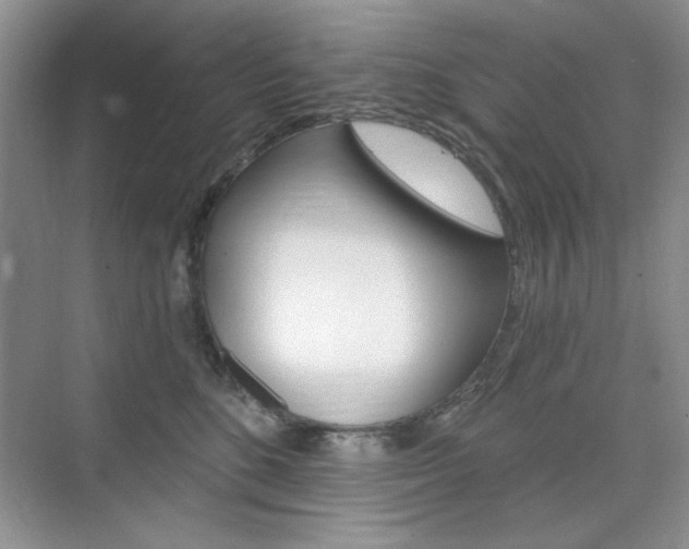 X0000076220520200609280925