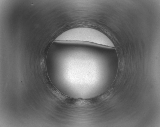 X0000076220521200609280925
