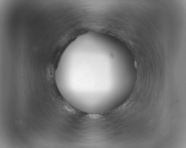 X0000076220528200609280925