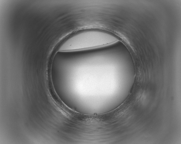X0000076220535200609280924