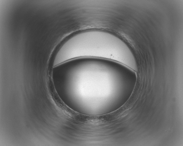 X0000076220540200609280924