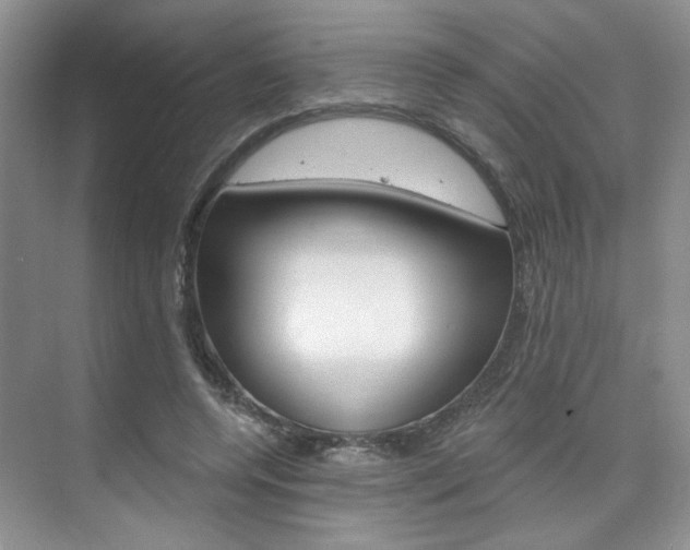X0000076220544200609280924