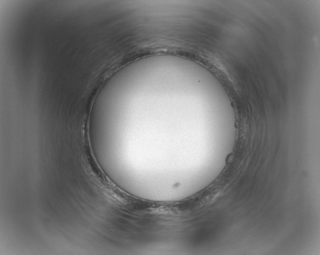 X0000076220545200609280924