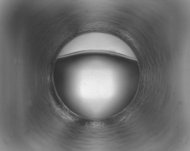 X0000076220546200609280924