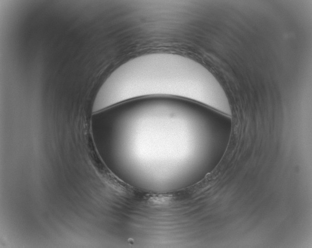 X0000076220560200609280924