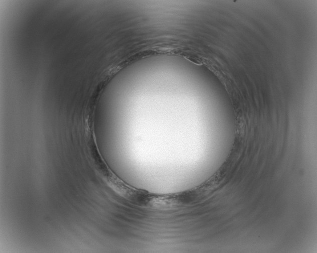 X0000076220568200609280924