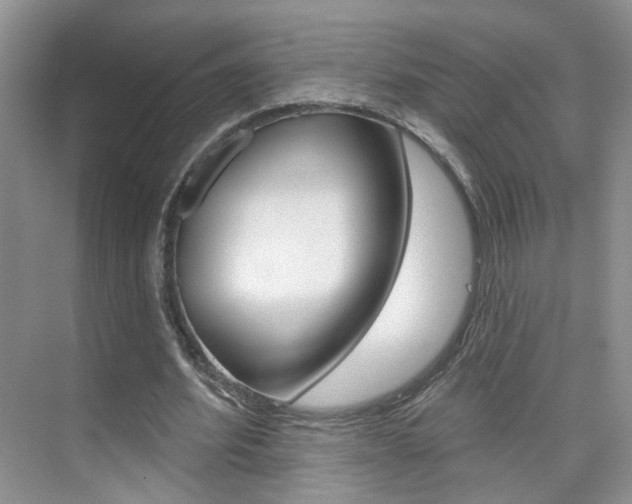 X0000076220580200609280924