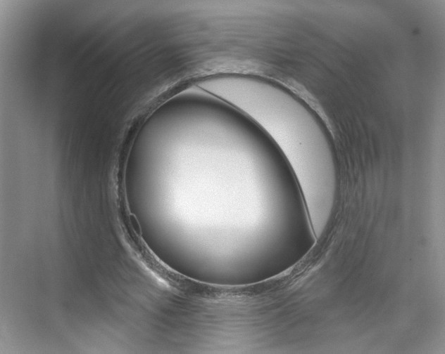 X0000076220581200609280924