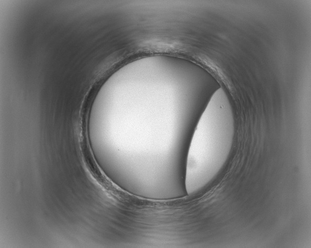 X0000076220582200609280924