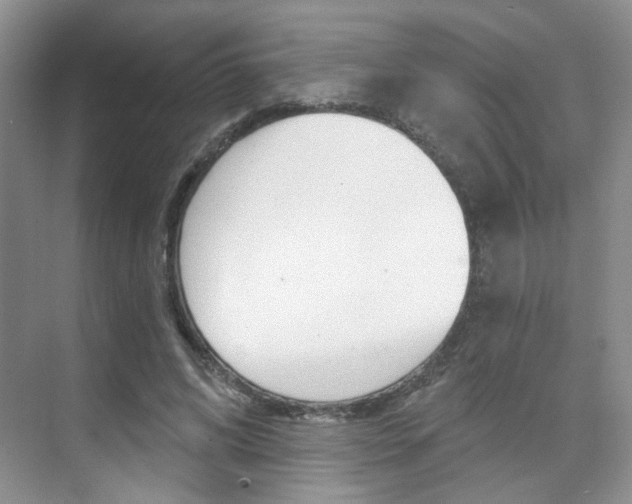 X0000076220592200609280923