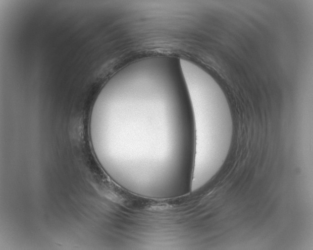 X0000076220595200609280923
