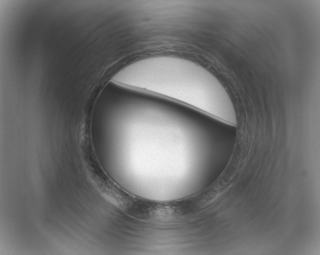 X0000076220600200609280923