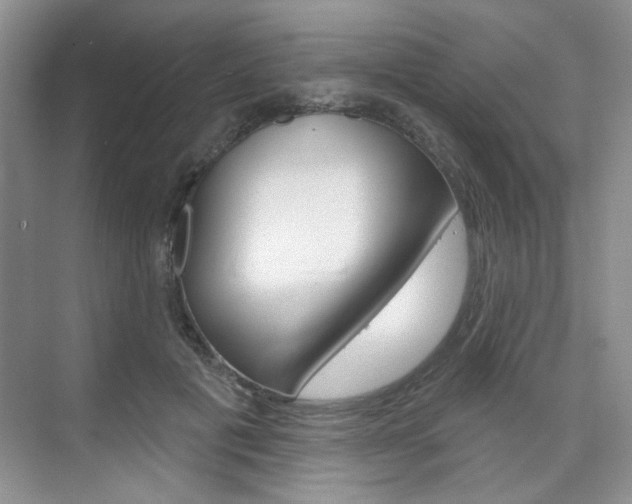 X0000076220601200609280923