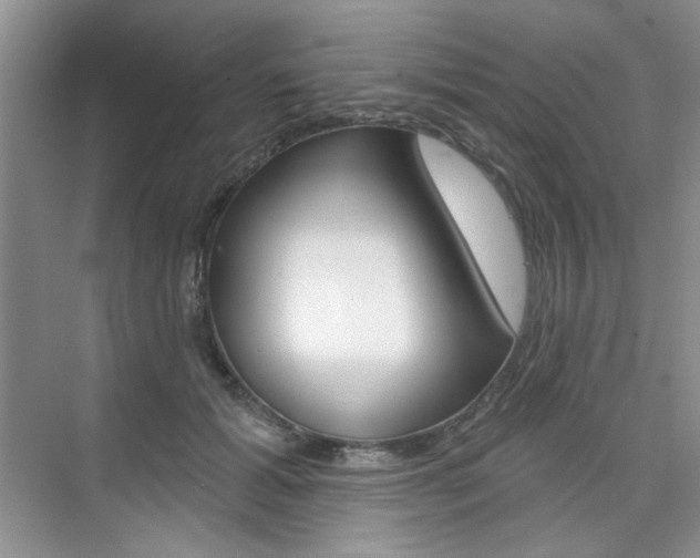 X0000076220605200609280923