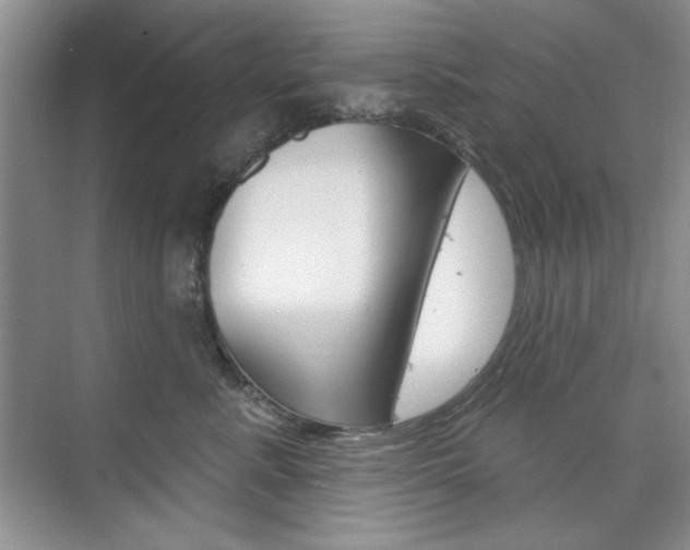 X0000076220619200609280923