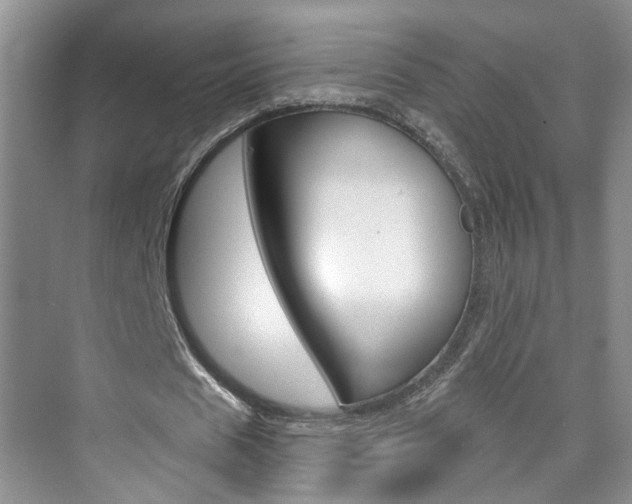 X0000076220625200609280922