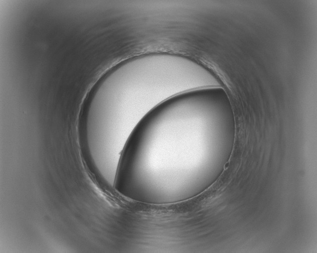 X0000076220626200609280922