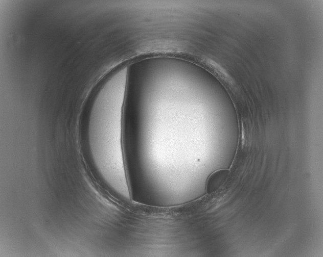 X0000076220627200609280922