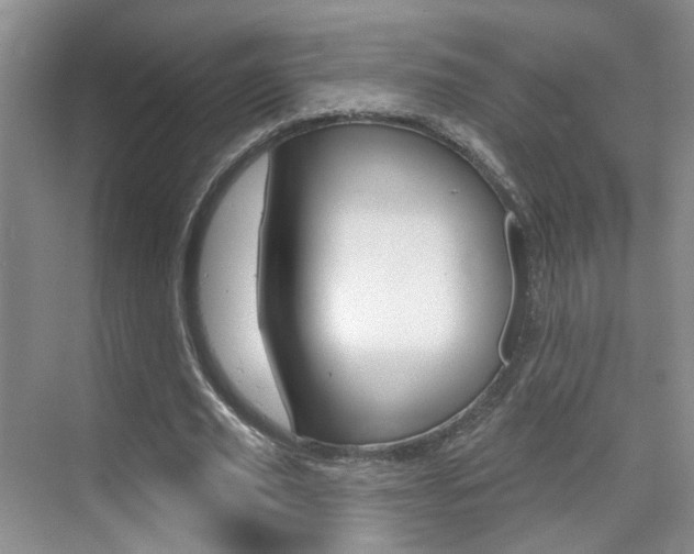 X0000076220629200609280922